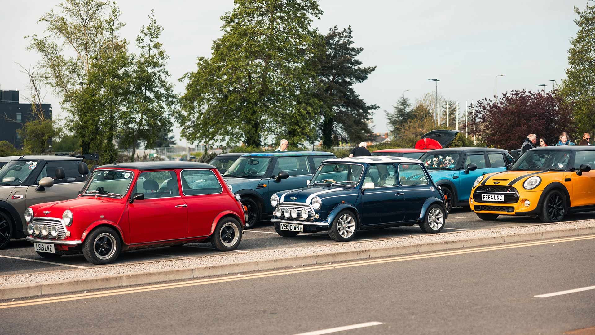 Several Mini cars, including classic and modern models, are parked in a row beside a road with trees and people in the background.